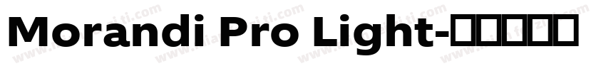 Morandi Pro Light字体转换